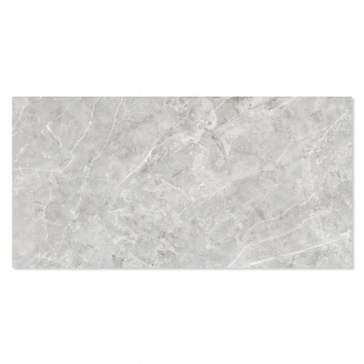 Marmor Klinker Montargil Ljusgrå Polerad 30x60 cm-2